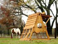 10-12 chicken coop for sale nationwide