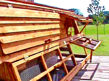 5 FEET TALL READY MADE CHICKEN COOP KIT