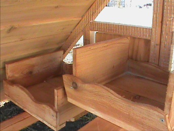 chicken coop with nest boxes