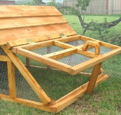 Taxas chicken/duck coops/house