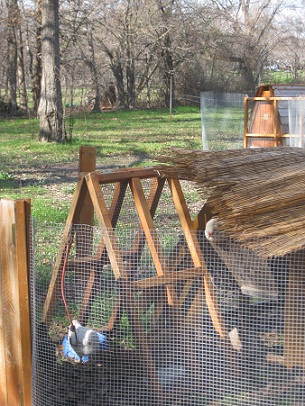 chicken fence