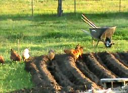 a new garden fence- portable