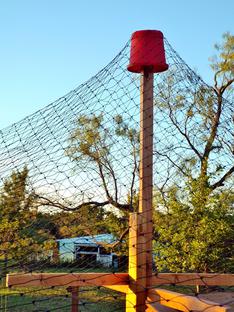 netting the chicken fence for protection