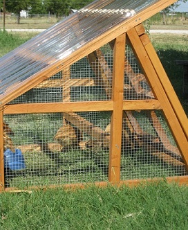 best chicken coop