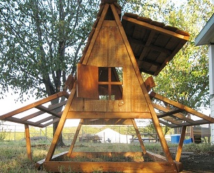 chicken coop for 8-10 hens