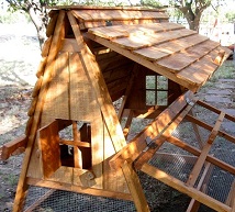  chicken coop for 6 hens