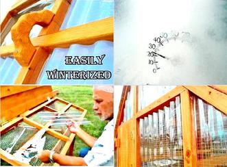 EZ winterized chicken coop for sale