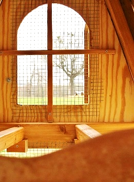 beautiful windows on our best chicken coop