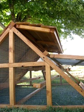 Texas free range chicken coops