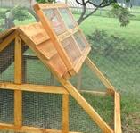 free range chicken coop