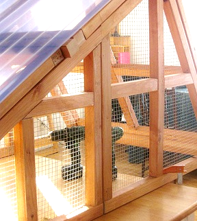 predator proof chicken coops/duck coops