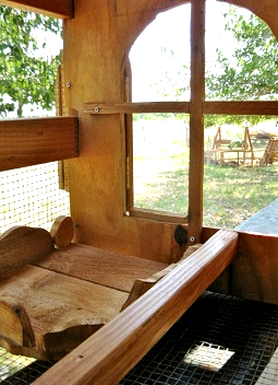 chicken coop design