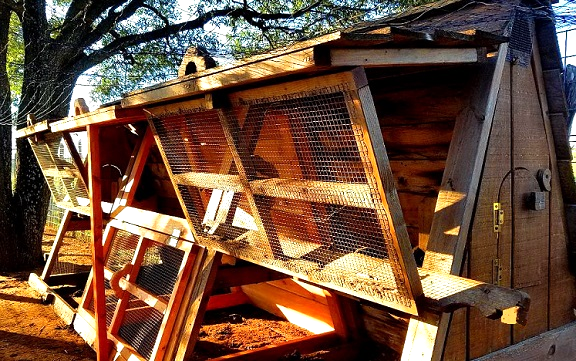 modular chicken coop large and portable