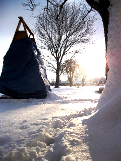 chicken coop in snow