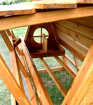 cover chicken coop in winter