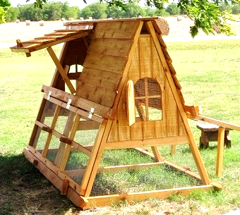 cover chicken coop for winter