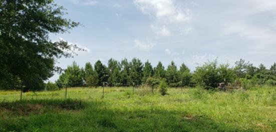 one acre on lake Winnsboro TX for sale with chicken coop business