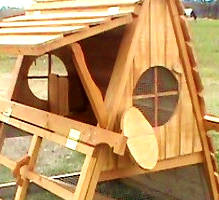 good looking chicken coop in tx