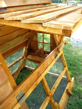 Texas big chicken coops 