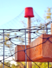 netting and fencing chicken yard