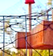 NETTING THE CHICKEN FENCE