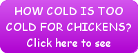 how cold is too cold for chickens