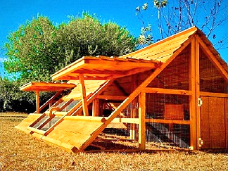 big chicken coop