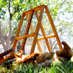  chicken coop for sale near dallas tx