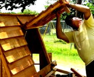 weather proof chicken coop for sale