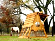 10-12 chickens coop for sale nationwide