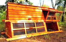 keep chicken safe easy use chicken coop deliver to your door