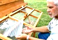 chicken coop for winter