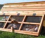 portable chicken coop