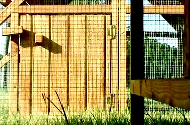 beautiful window for chicken coop