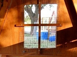 best chicken coop- windows