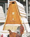 chicken coops videos