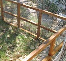 chicken fence